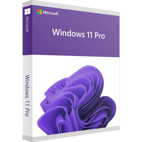 Windows 11 Pro (OEM)